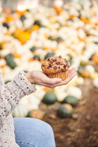 chocolate chip muffin in persons hand